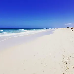 https://casa-palmer.in-canary-islands.com